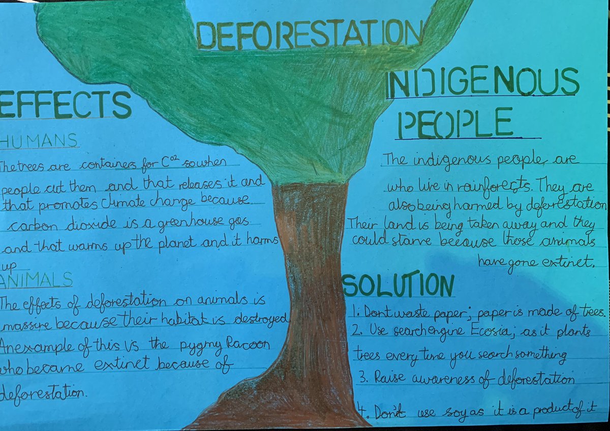EramFarooq's tweet image. @MonkspathSchool #TheLearningProject Safwan’s this week’s learning project on deforestation