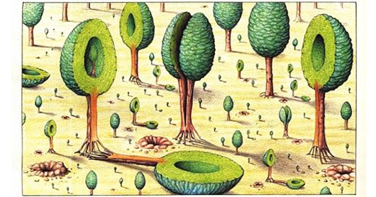 brainpickings's tweet photo. Codex Seraphinianus – history's most bizarre and beautiful encyclopedia of imaginary things, written in a code language https://t.co/kOJr3orkAo https://t.co/owxiGRVm5G