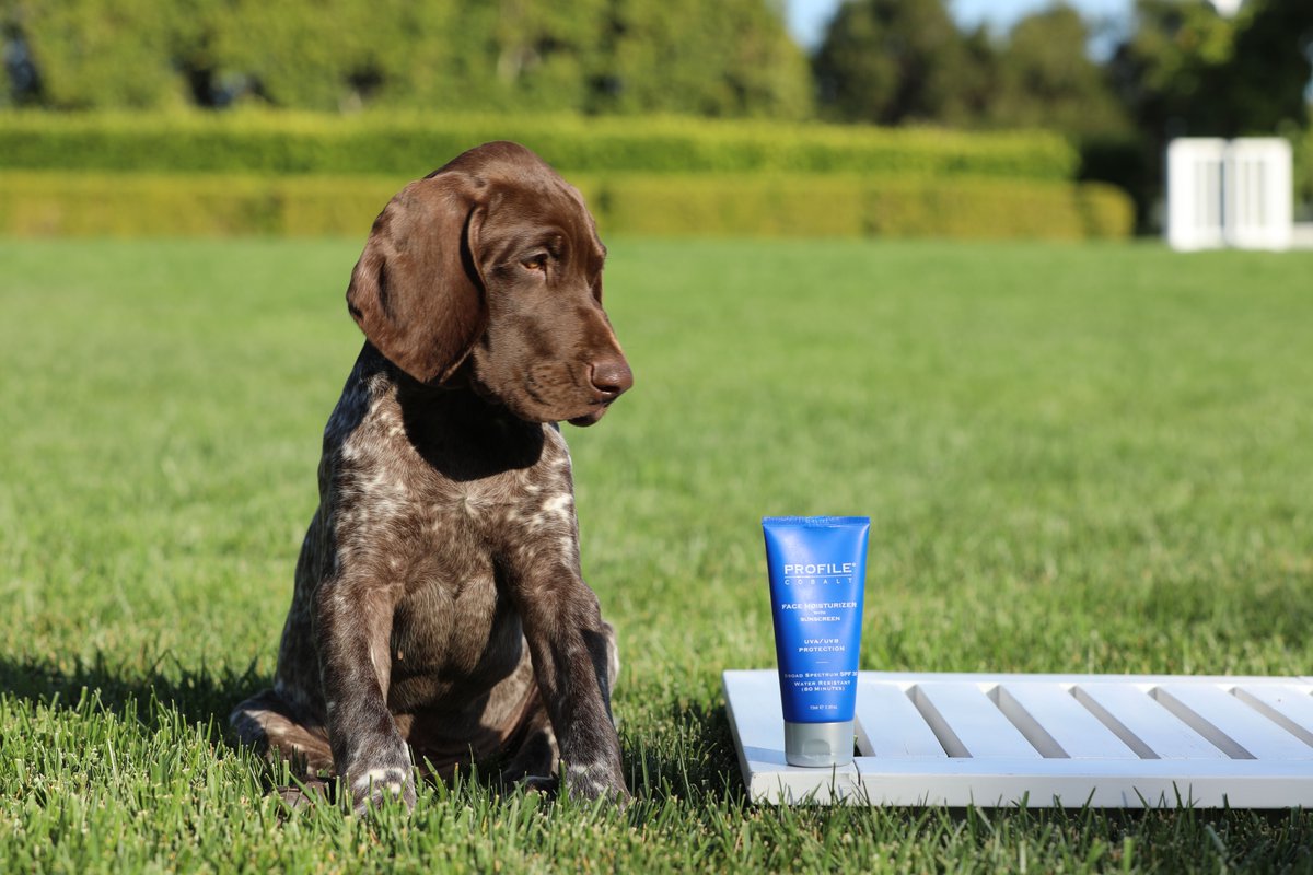 cobaltbyroblowe's tweet photo. Even sweet puppies know you should wear sunscreen. BONUS: our Face Moisturizer contains SPF 30 and our products are NEVER tested on animals. #skinwin https://t.co/UHuhP6VWrH https://t.co/yrGDqVd2R5