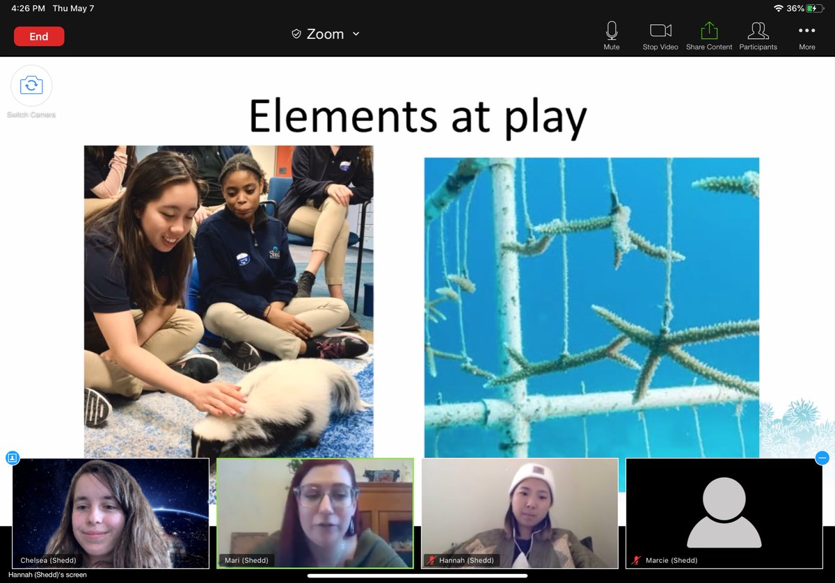 SheddLearning's tweet photo. Join us for a series of #SheddTeenLab VIRTUAL workshops on the connections between art and science! #SciArt
May 14 The Science of Art
May 21 The Art of Science
May 28 Lab to Life: Art in Your World
Teens register here: https://t.co/EuXHFGjJVd https://t.co/pZk2bKHkea