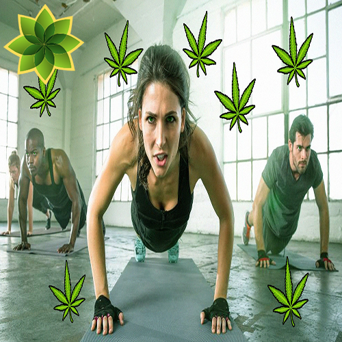CannabiMedia's tweet photo. ¿Fumar Cannabis adelgaza?
Algunos estudios recientes están arrojando poco de este tema. Por ejemplo, un flamante cometido publicado por la prestigiosa revista ‘Nature’ explica que los arrebatos de deseo activan...
¿Quieres saber mas?
👇👇👇
https://t.co/wCtSKZVzj6 https://t.co/ur5MD8xe77