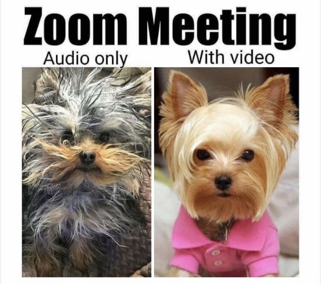 Guilty! 🤣🤪 #zoommeetings#csusb#coyoteradio