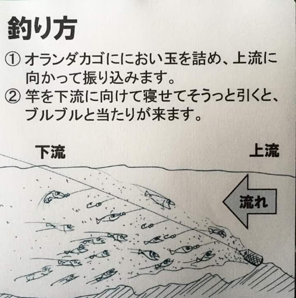アジ曼荼羅 Aji Mandara 土佐カブラは川でも威力を発揮するんですね 初耳でした