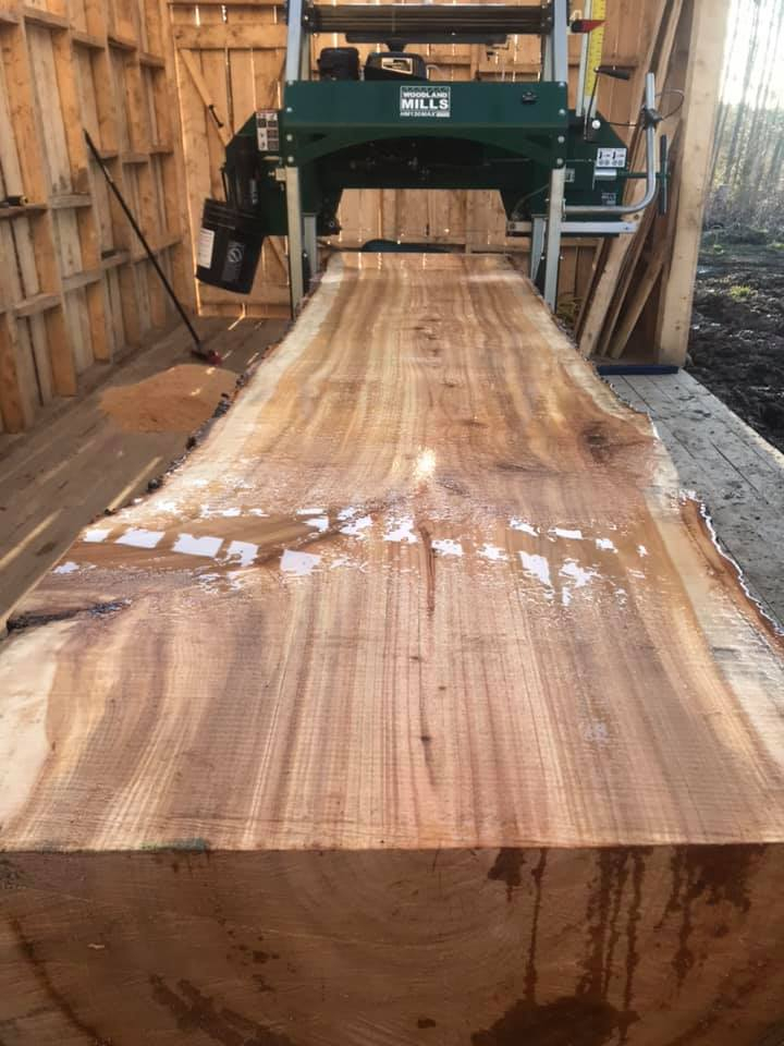 WoodlandMills's tweet photo. Maxed out the #130max with this nice aspen, Trevor
#hm130max #sawmill #sawmillshed #slabs #wideslabs #tabletops #discoverthewoodland #woodlandmills #forestry #tabletops #bartops #furniture #solidwoodfurniture #liveedgeslab #rustic #woodworking #manglitter
https://t.co/kFsxN6YodM https://t.co/eHHqaOyz5Q