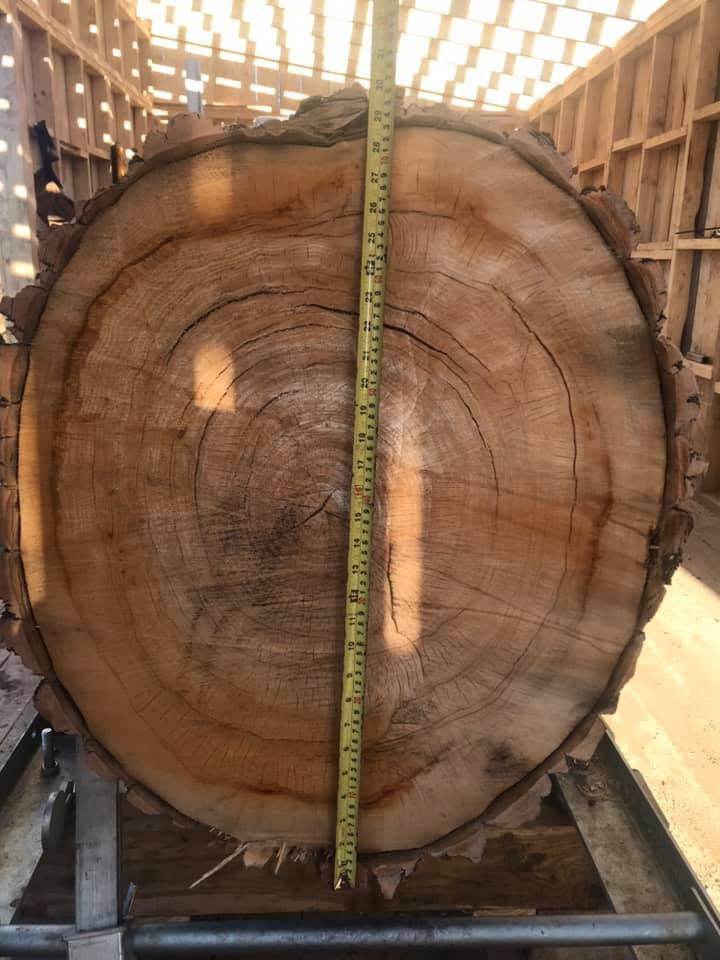 WoodlandMills's tweet photo. Maxed out the #130max with this nice aspen, Trevor
#hm130max #sawmill #sawmillshed #slabs #wideslabs #tabletops #discoverthewoodland #woodlandmills #forestry #tabletops #bartops #furniture #solidwoodfurniture #liveedgeslab #rustic #woodworking #manglitter
https://t.co/kFsxN6YodM https://t.co/eHHqaOyz5Q