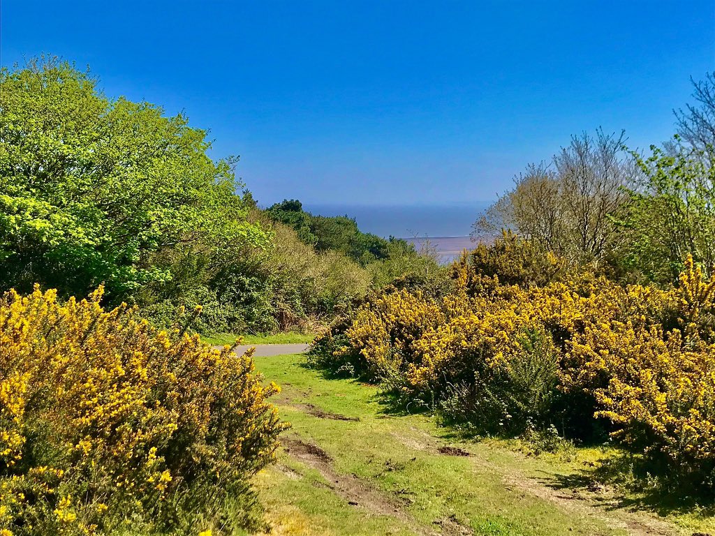MarstonLodge's tweet photo. Happy #SomersetDay! Such a pleasure to live in this beautiful part of the world, where #coast &amp; #country meet in perfect harmony. https://t.co/X9nMWQ43uy