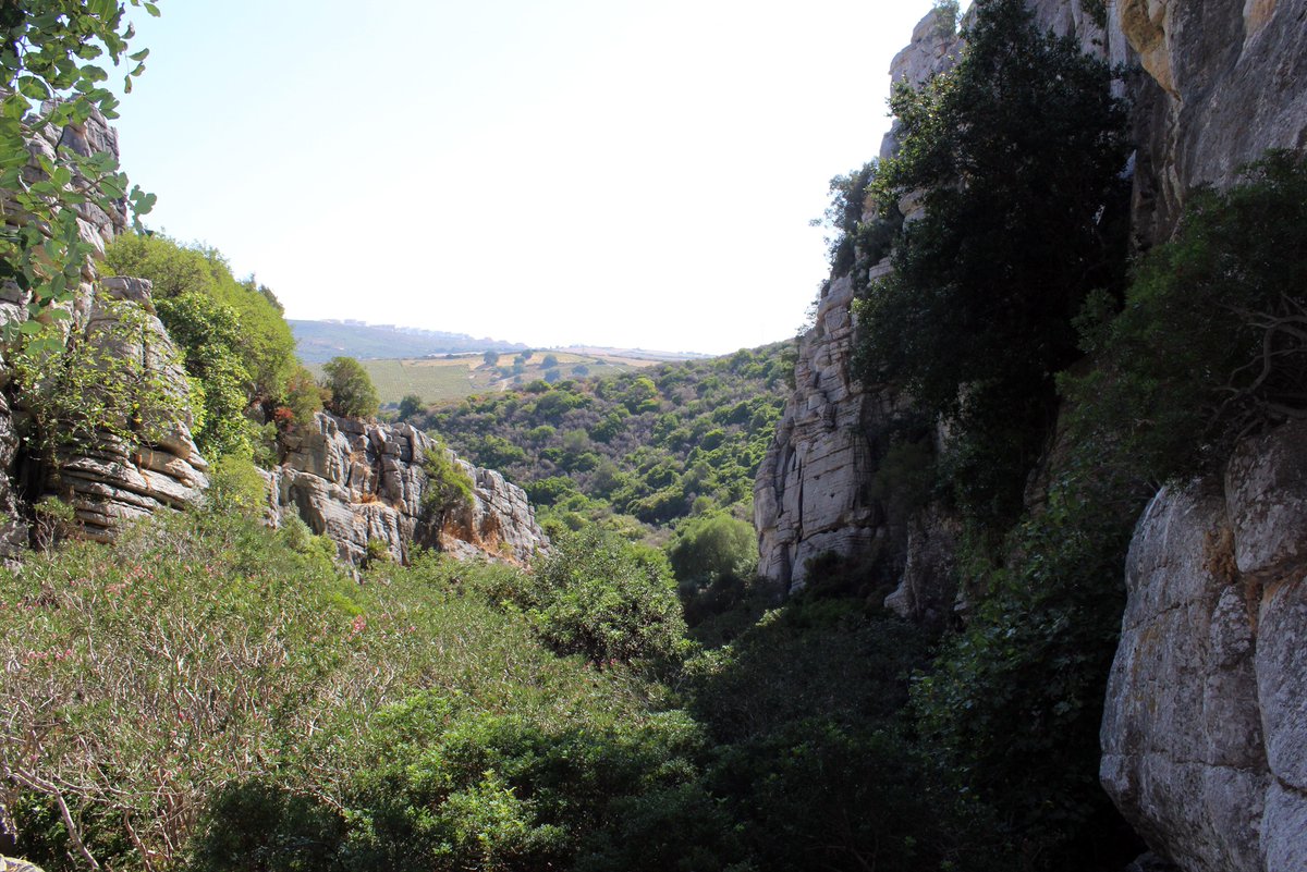 Escapadasdelsur's tweet photo. Tenemos muchas ganas de volver a ofreceros contenidos y experiencias para disfrutar de nuestro entorno. Mientras tanto, te recordamos que en nuestra web tienes un poco de todo lo que te gusta: senderismo, lugares de interés, flora, fauna, paisajes,... 
https://t.co/3xFigQY35d https://t.co/25EpFQg4kq