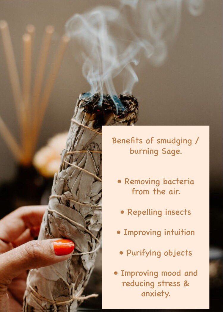 Benefits of using California white Sage! 
This practice is known as smudging! Great way to break into meditation as well as practicing self love!  Hit me up I’m your plug here in Guyana 🇬🇾 For inquiries or details slide in the DMs. Or Contact +592 602 0877. #Smudgies #SmudgiesCEO