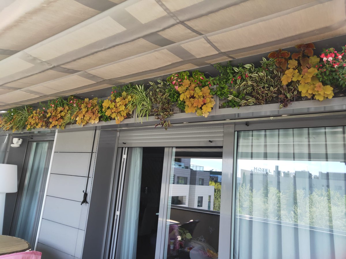 Proyecto Jardin Vertical en terraza particular Alameda de Osuna