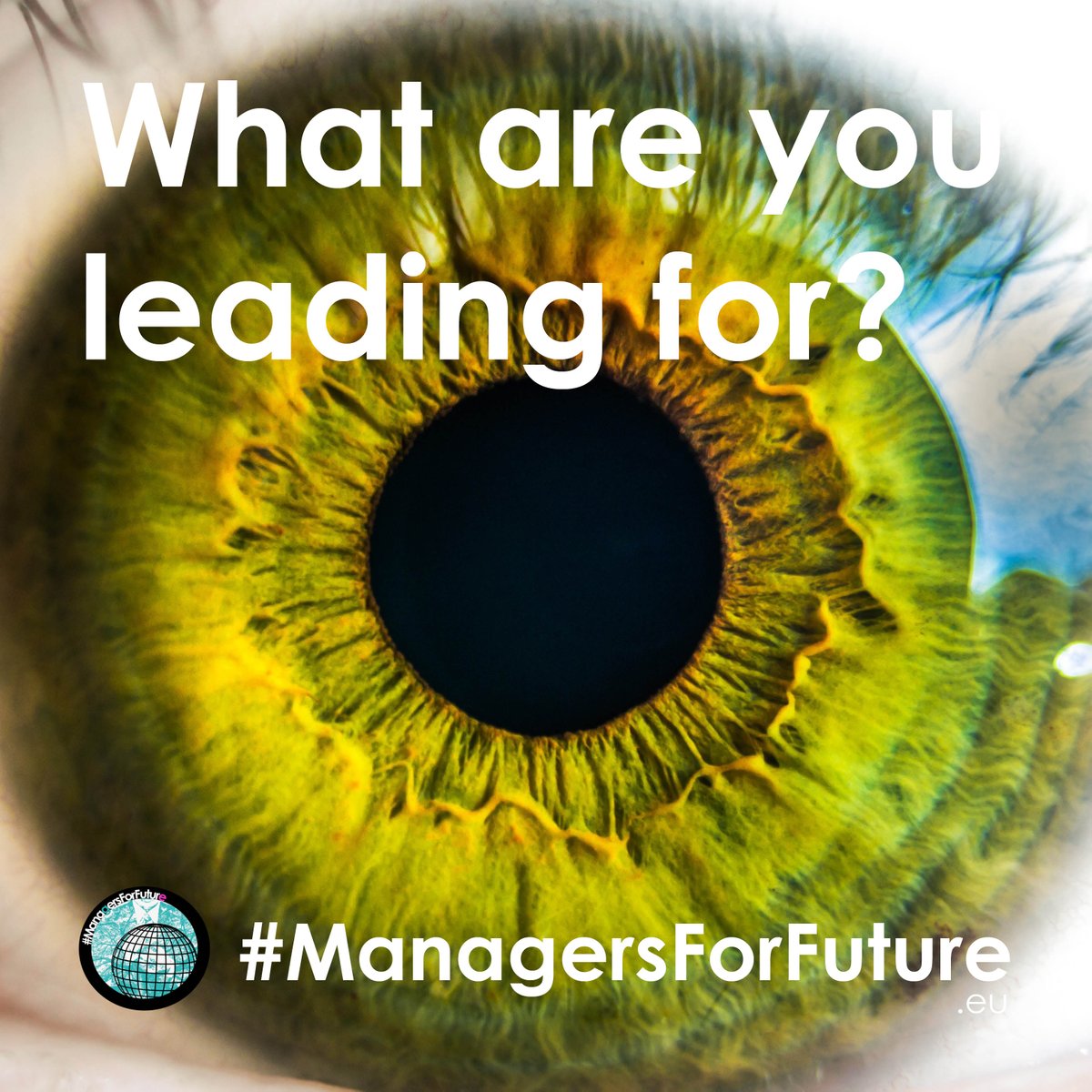 andytuit's tweet image. antoher roaring visionary as well as enjoyable meeting today w/ @Managers4Future pioneers from around Europe! Great talks/plans/goals/dreams 

#sustainableleadership 
#befuture 
#managersforfuture 
#4futureRecovery 

#staytuned 😎