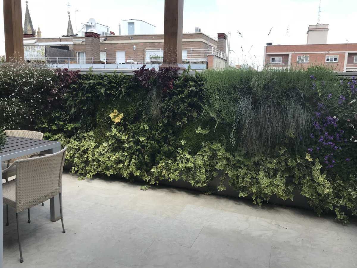 Jardin Vertical en terraza particular , casado del Alisal, Madrid