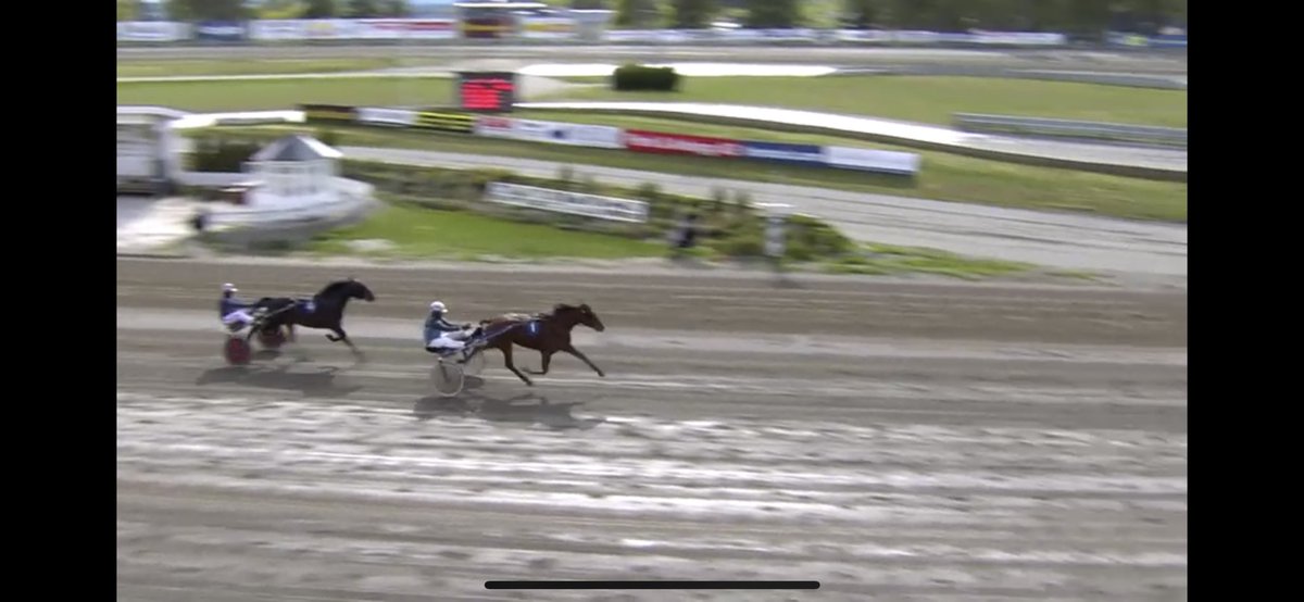 Marko Kreivi visar grym ägarform när hans 3åriga sto Jolene B.R. slår nytt banrekord på Momarken i tävlingsdebuten för Frode Hamre!

På lördag startar en annan obesegrad häst han äger på V75, Equrie D!