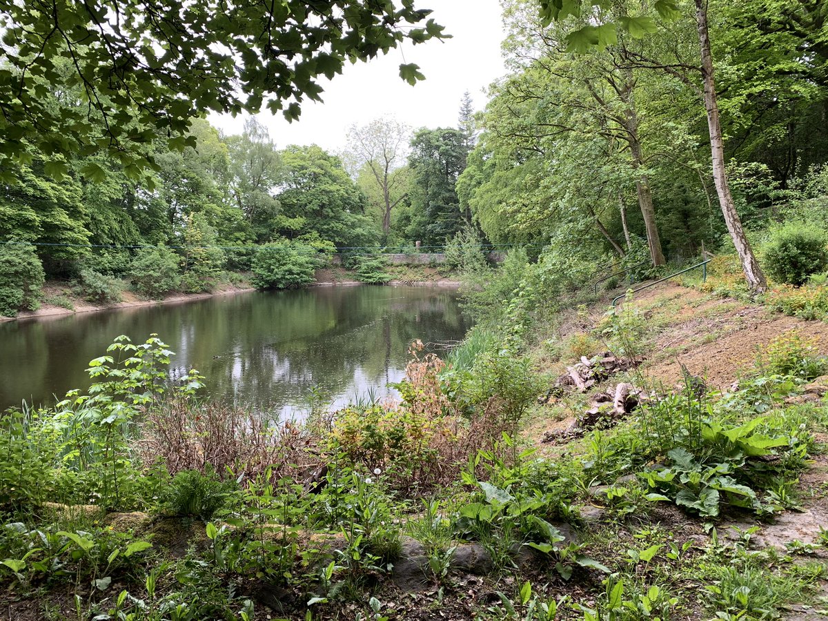 The Old Reservoir in Fenham Carr Walk at the back of <a href="/WilliamsonPark/">WilliamsonPark</a> , a hidden gem! 😊 #Lancaster #walk