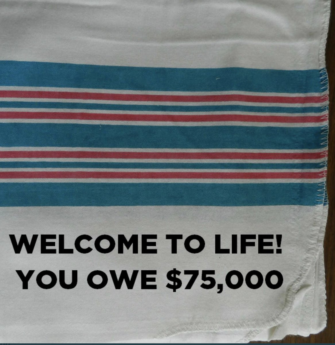 RedIsTheNewPunk's tweet photo. It's really too bad I already had my baby shower. I would have LOVED this baby blanket... #NOTHANKSPELOSI #WOOF. 

#RejectBailouts #AFPWestRegion https://t.co/fiqQfMyJXQ