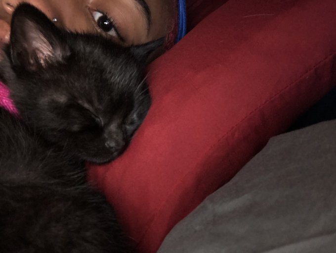 Watch luxxe bucksss's leaked NSFW photo on TwXstars