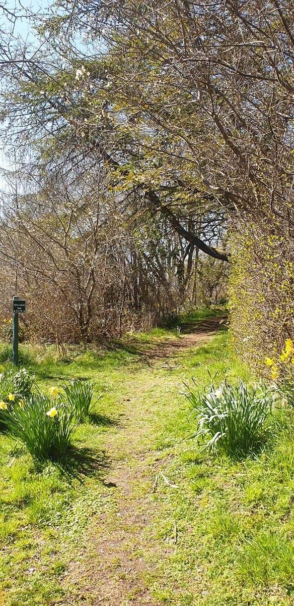 A walk round the river is always a good idea in Brora.  #DreamNowTravelLater #beautifulbrora #royalmarinehotel #brora #scotland #hasteyeback