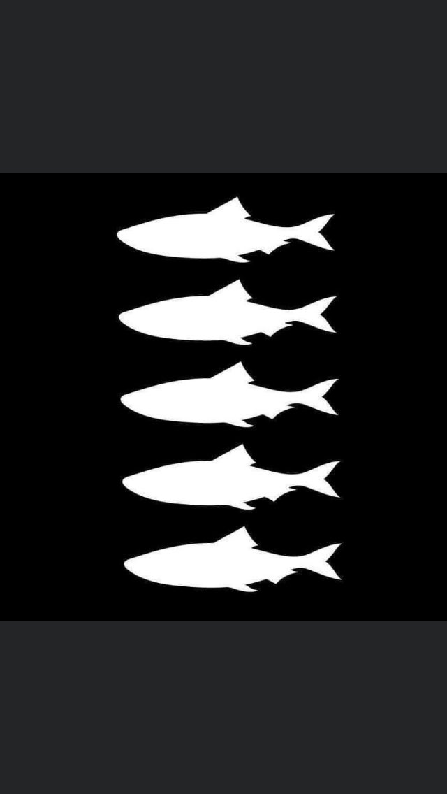 Condolences to all our Dutch friends