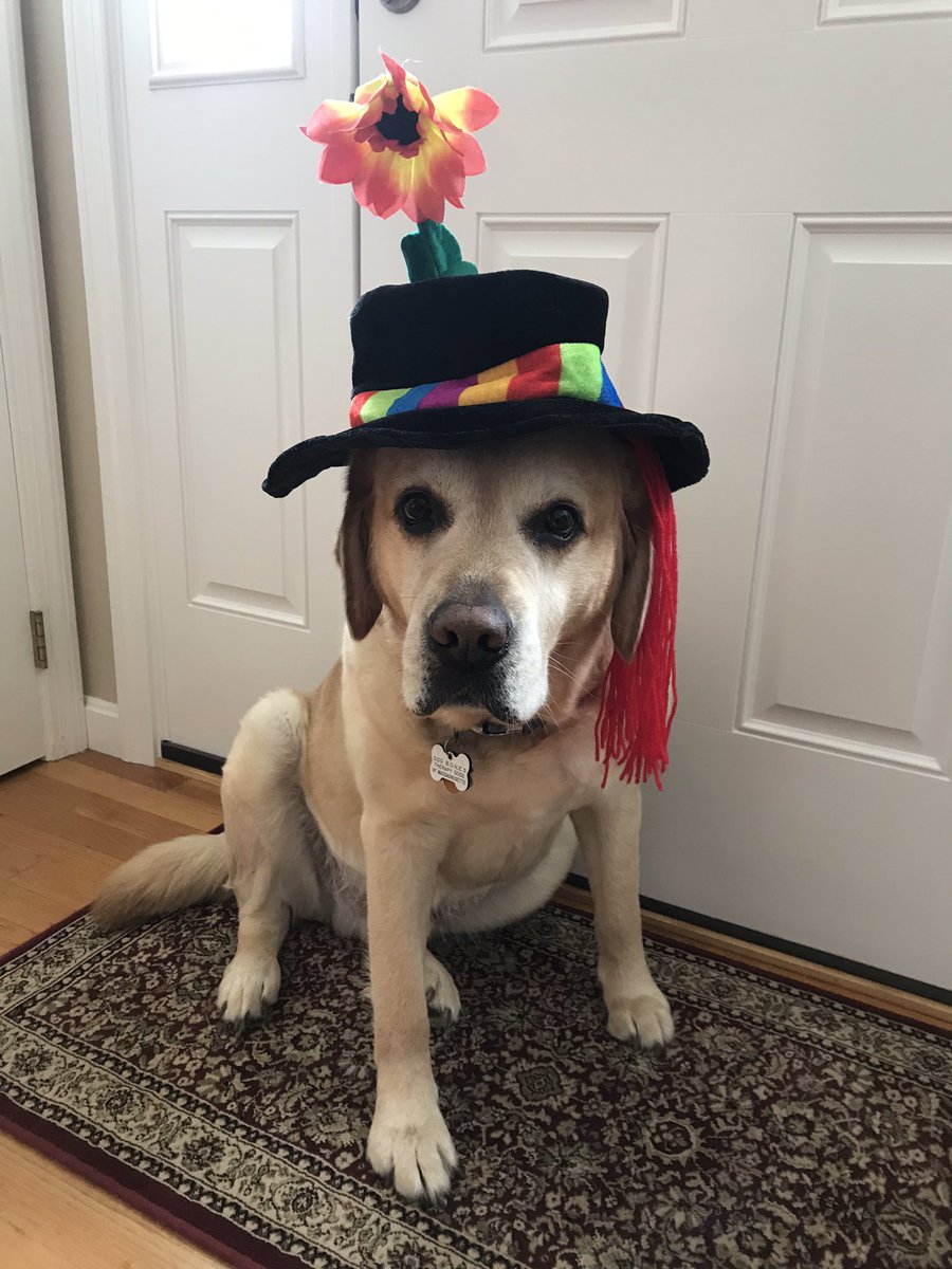 jagdago's tweet photo. Crazy Hat Day!!! @OakleyWb,@MikolazykWBPS,@WBMSHS,@kimbergarten https://t.co/4ib4Pp9aAy