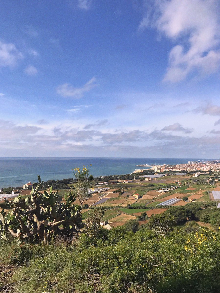 martatremps's tweet photo. D’aquest matí 🌿 https://t.co/6msEbMXm67
