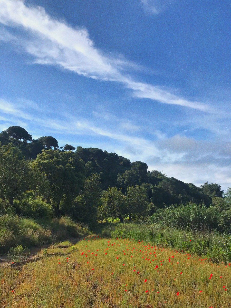 martatremps's tweet photo. D’aquest matí 🌿 https://t.co/6msEbMXm67