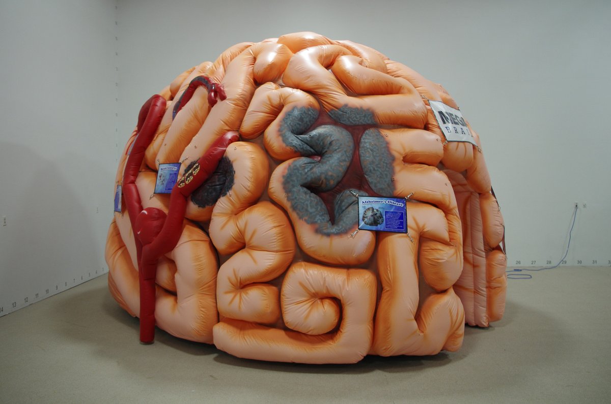 MEGAInflatables's tweet image. May is #StrokeAwarenessMonth. Every minute counts when you or someone is having a #stroke. Think #FAST face, arms, speech, and time to call 911. For more info look at CDC's guidelines.ow.ly/VK3F50zEdFo