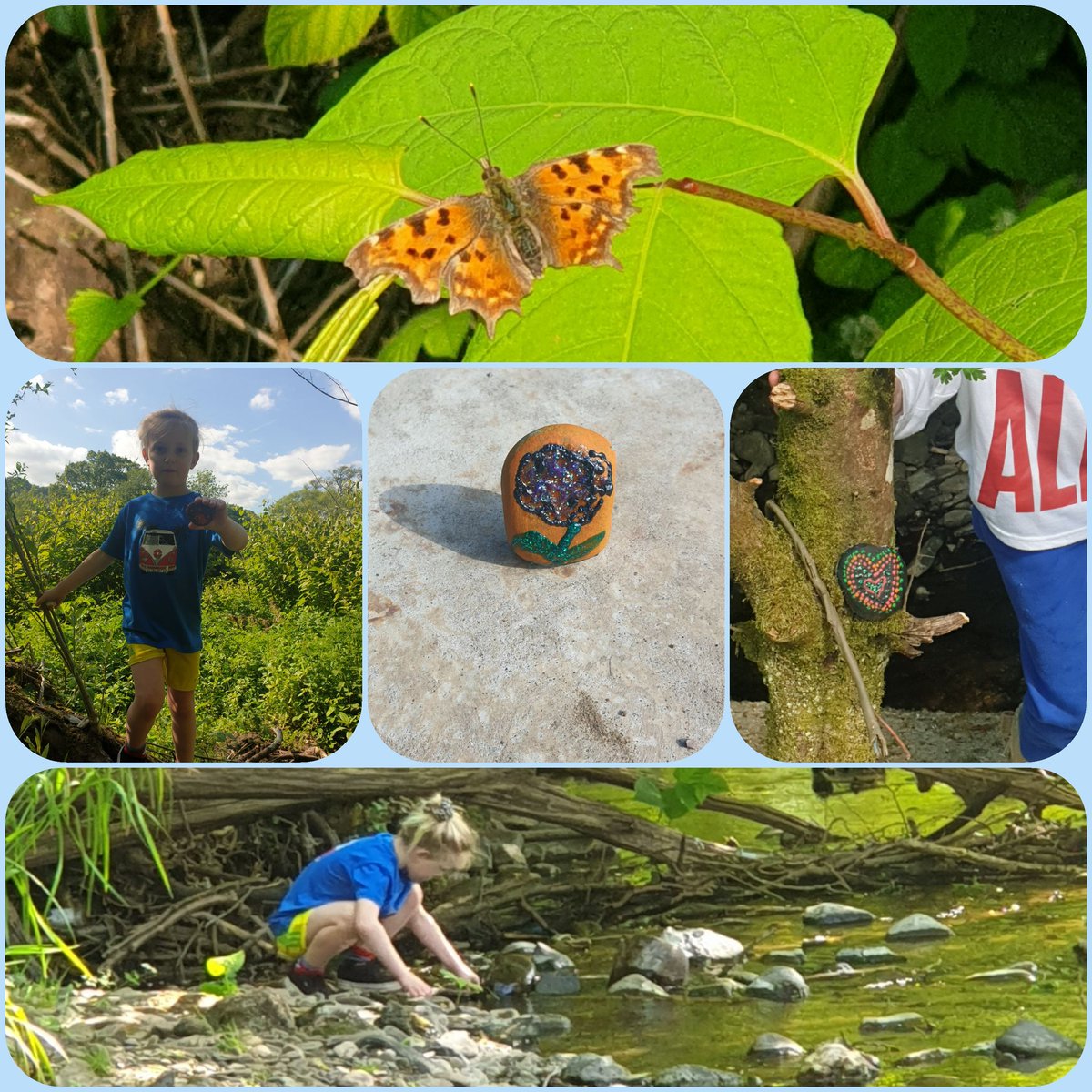 carla_wl's tweet image. @trallwnginf We loved adding to the path of hope after 'school' today. What a lovely idea, thank you #TeamTrallwng #PathofHope #TaffTrail #NatureWalk