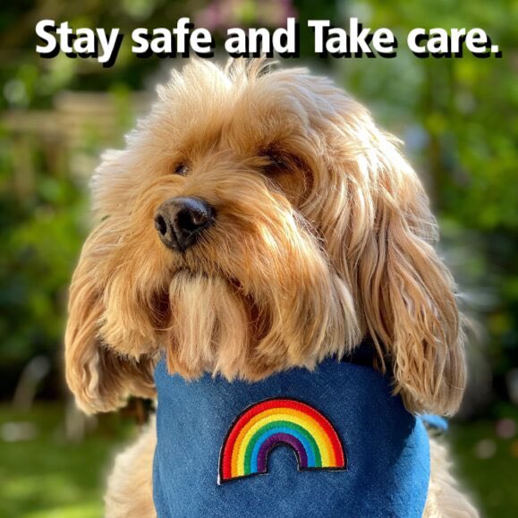 Call for Walkies tweet media