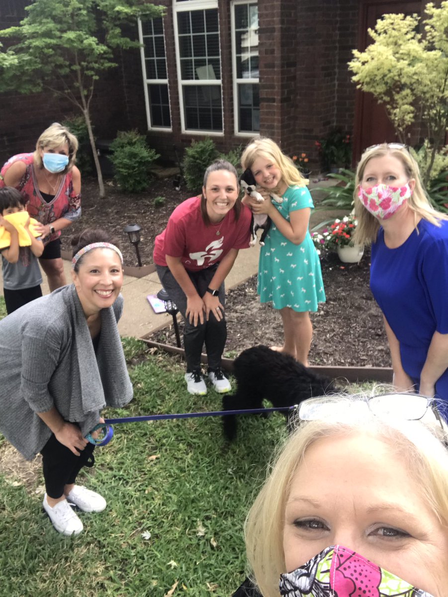 june gray tweet media