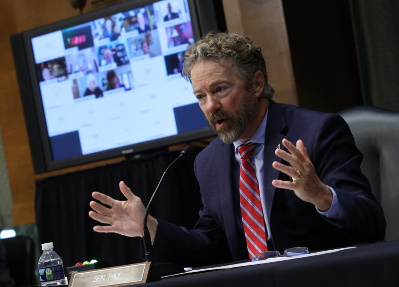 Mark Boone Junior as Rand Paul