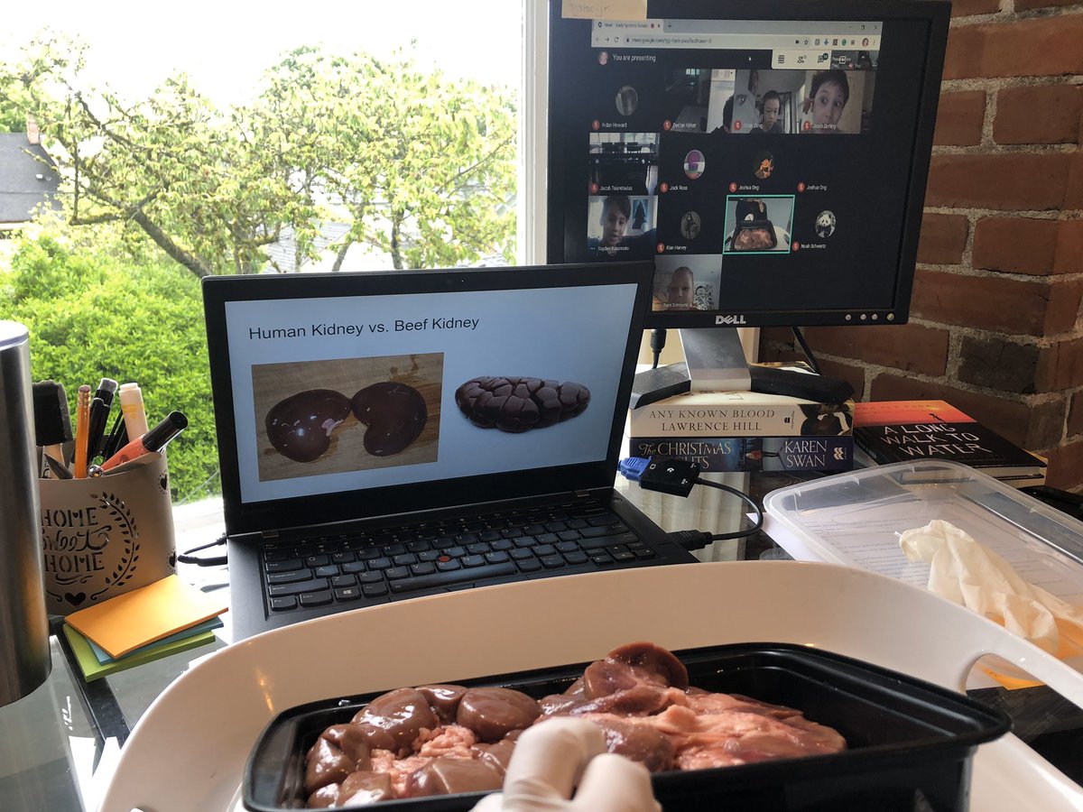 Karyn Roberts tweet media