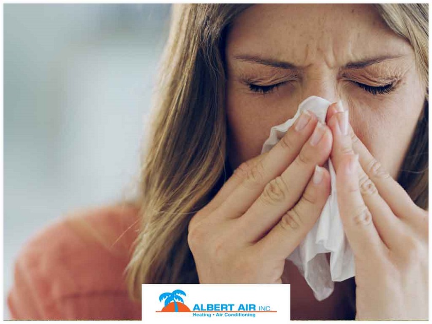 AlbertAircom's tweet photo. FInd out if your air purifier can actually help relieve allergy symptoms in this post. https://t.co/KRexGnonv2 https://t.co/dlRrDTEnat