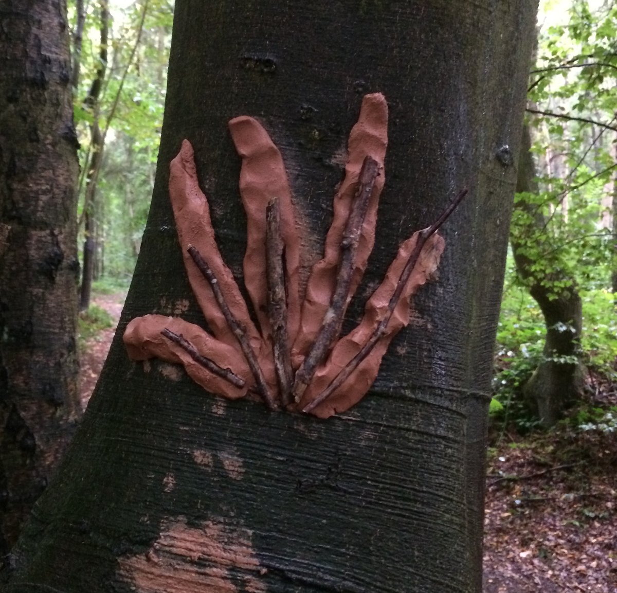 Avez-vous un arbre préféré ? Avez-vous vécu une histoire particulière avec un arbre ? Avec cette activité vous prendrez le temps avec un arbre, un seul, en silence.
srfb.be/2020/05/09/ter…
#confinement#ForestFriend#activitéenfant