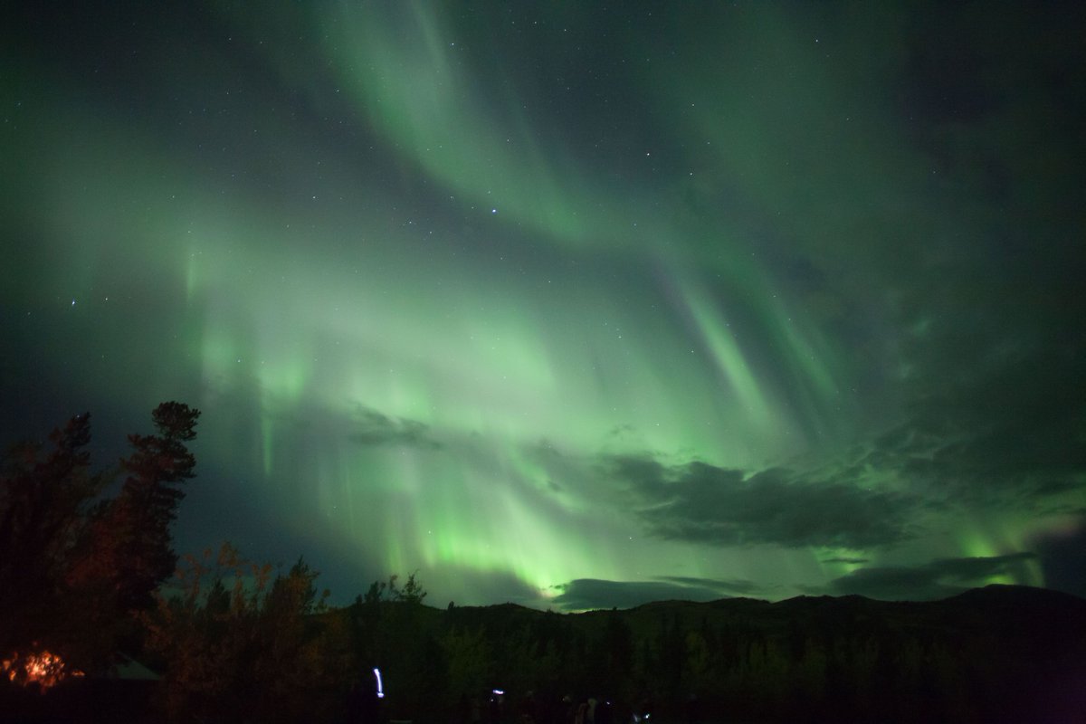 Oh, hello! 😍 #northernlights #auroraborealis #ExploreYukon