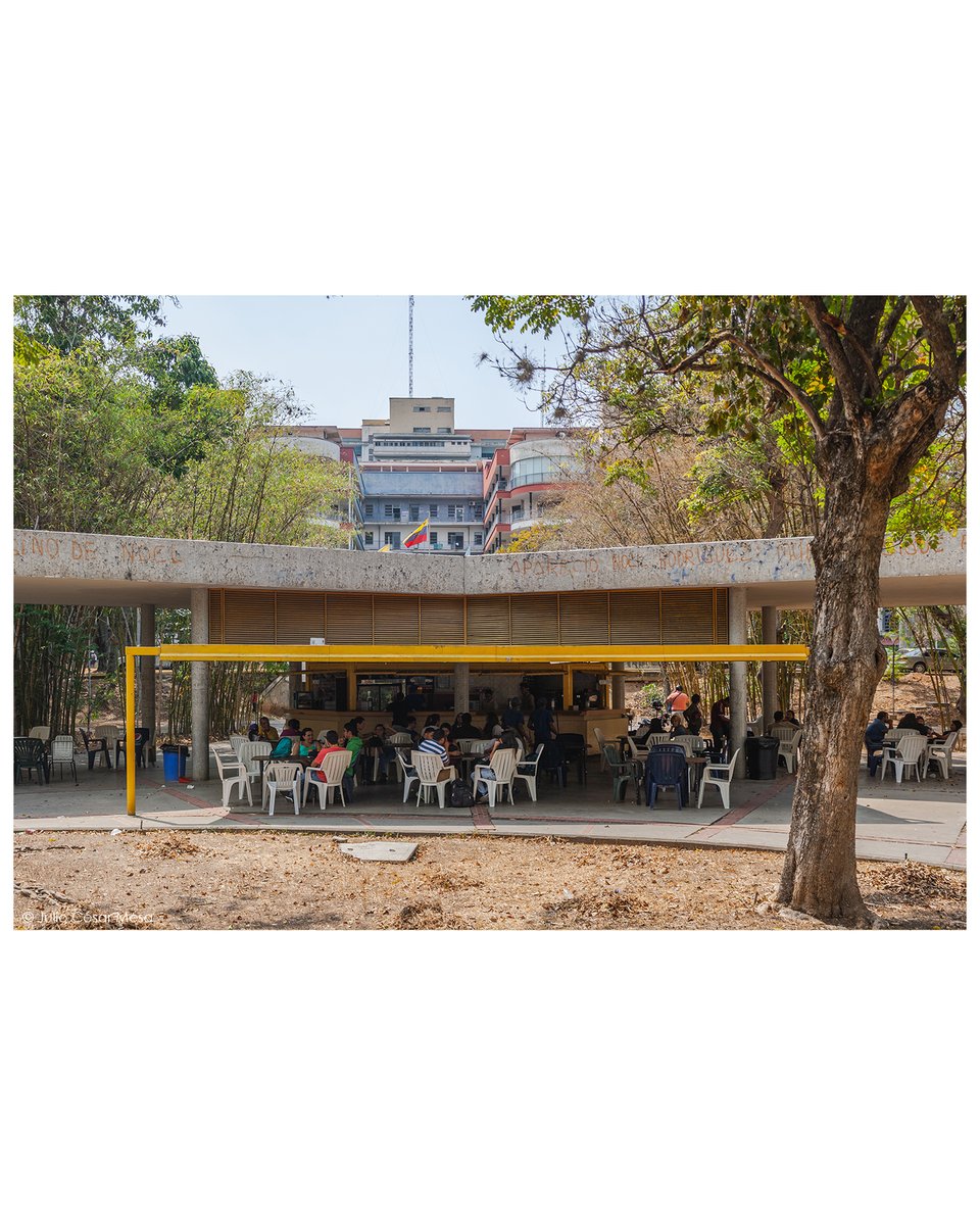 juliotavolo's tweet photo. Hospital Universitario de Caracas // #CaracasRewind 2016
Arch. Carlos Raúl Villanueva (1956)
_________________________________
#Caracas #Venezuela #architecture  #midcenturymodern #docomomointernational #modernmovement #midcenturymodern #CarlosRaulVillanueva https://t.co/fOeS2YXmS3