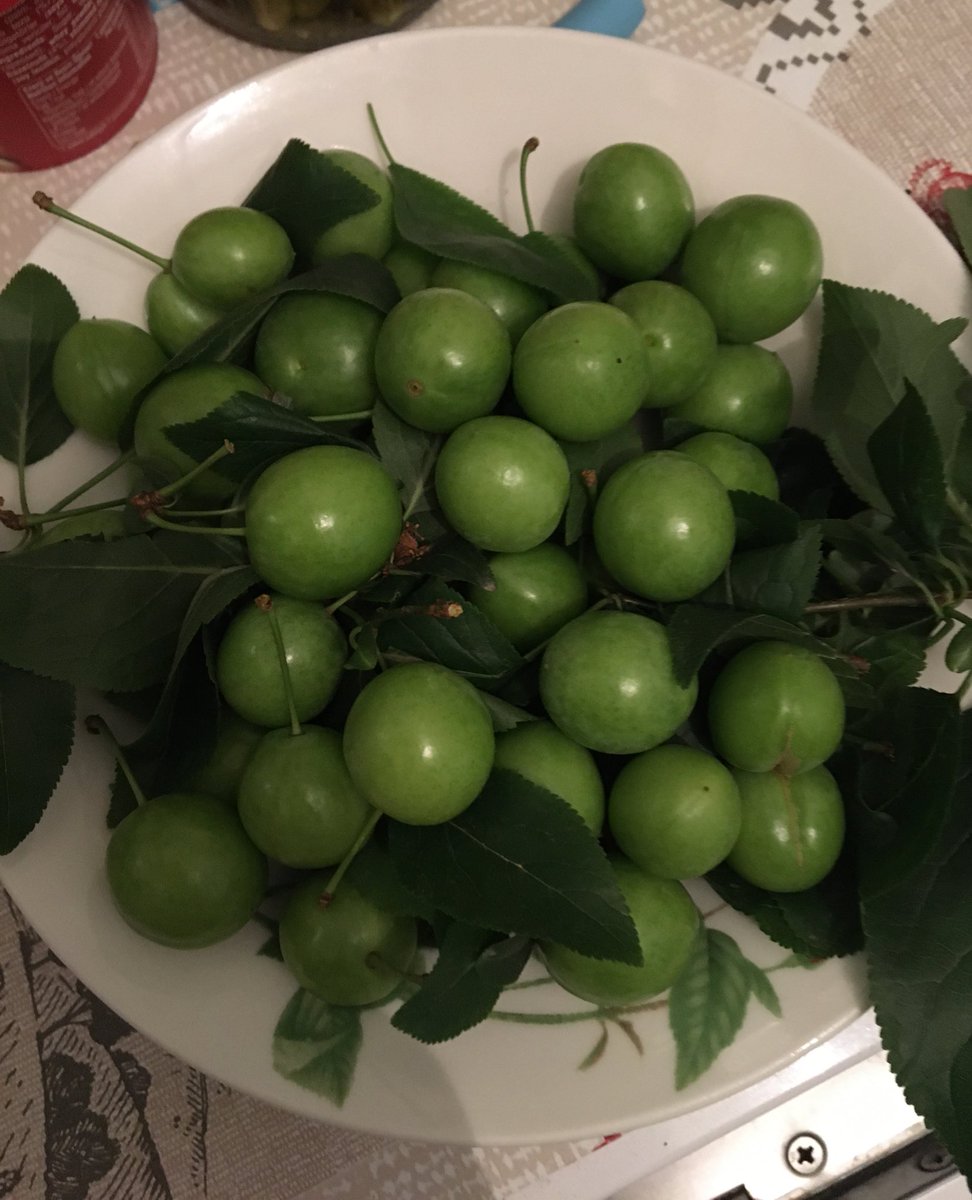 Komşunun bahçesinde biter bize de düşer😋😋