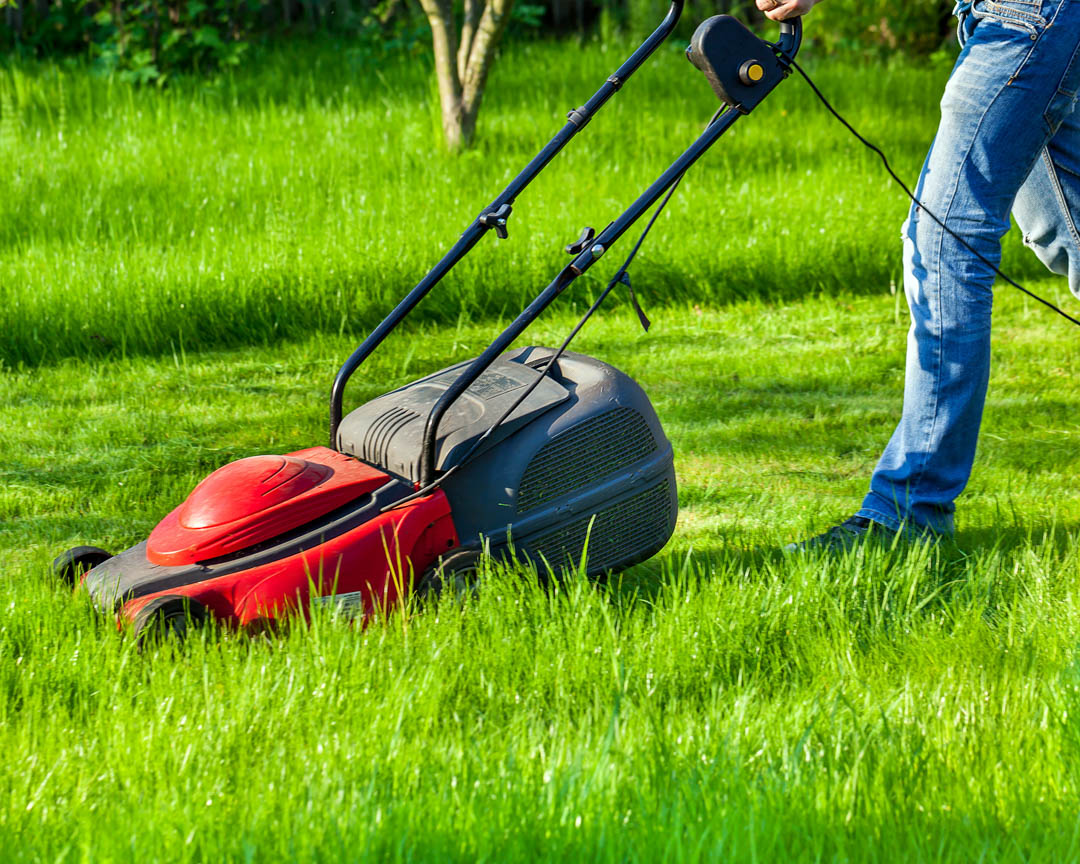 LiederLandscap1's tweet photo. Anything outdoors we can handle.   #Landscaping #TreeService #FlowerBed https://t.co/fDpwNdxbNR https://t.co/Jr7OvckLRN