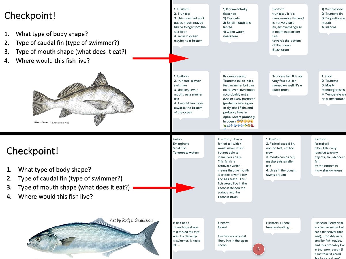 BioteachNg tweet picture