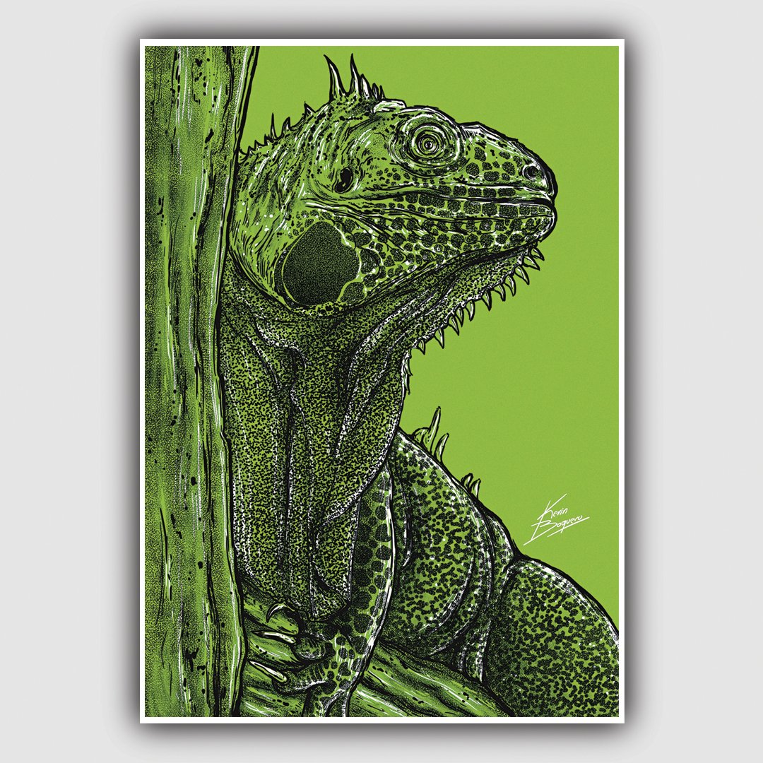 KevinBaqueroec's tweet photo. Iguana
.
#arteconceptual #conceptart #artstationhq #arte #artedigital #digitalart #photoshop #ilustracion #ilustration #diseñografico #graphitdesign @artstationhq #posterdesign #poster @crehanacom @Procreate @wacom @WacomEspanol @AdobeLat @Adobe @Behance @creativecloud https://t.co/UnOIu8J3Zn