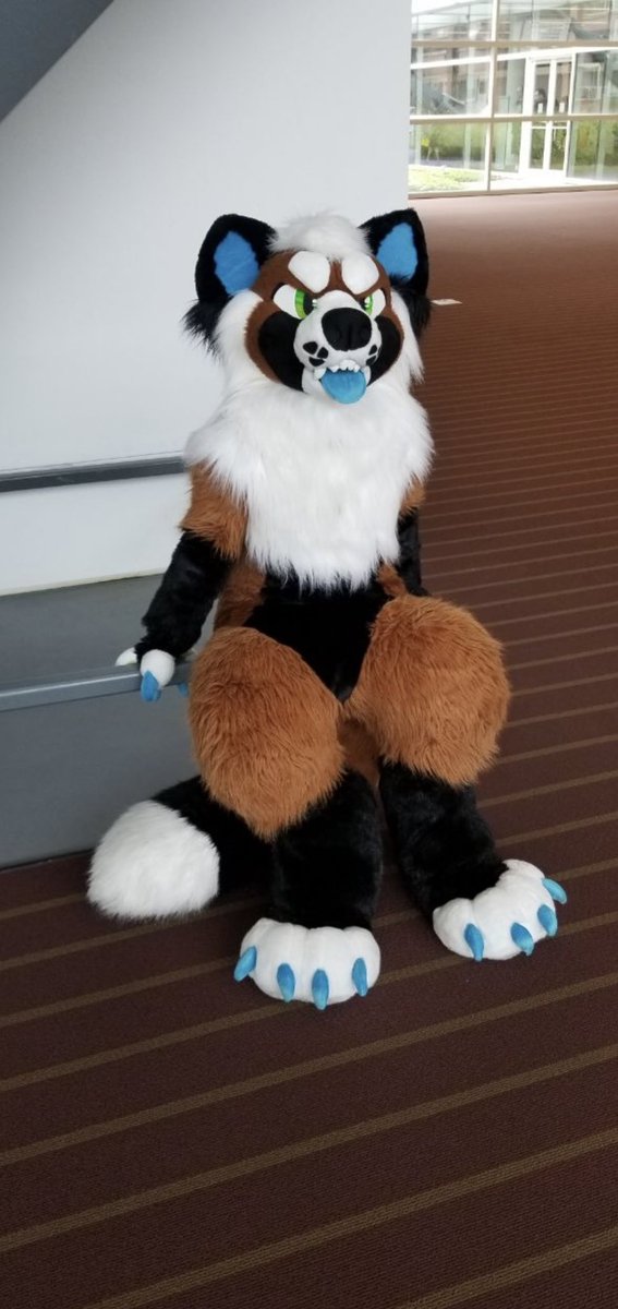 50DegreesOfRiot's tweet photo. Look at this absolute good boy!!! #multicolorbark #multicolorbarksuiter
@MulticolorBark https://t.co/WdYOjpVHRE