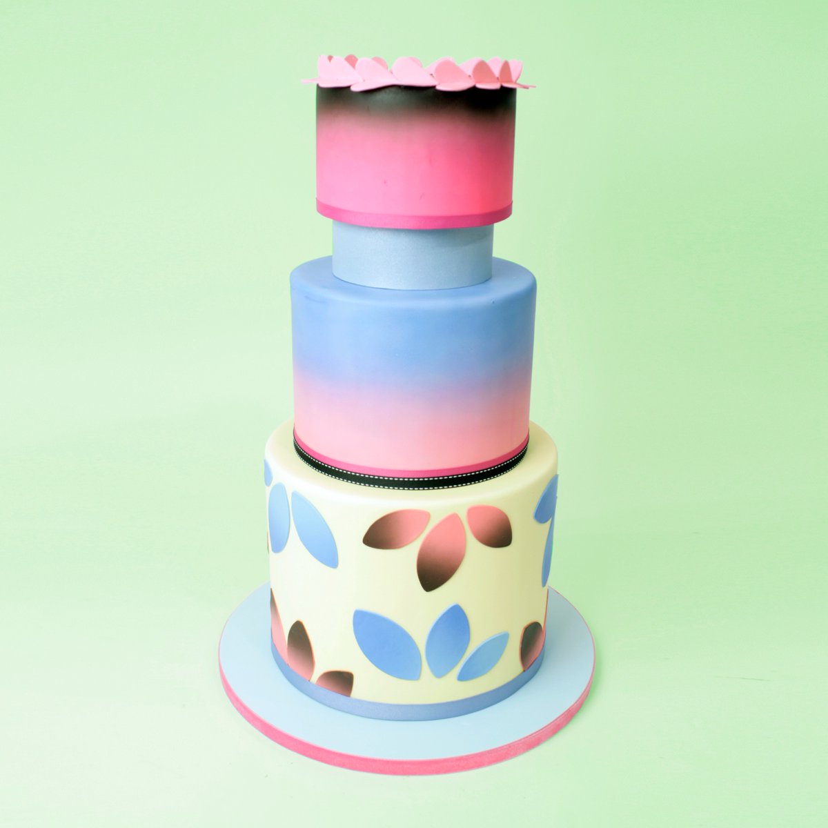 Charm_CityCakes's tweet image. Here's a cake to brighten your Tuesday (in case you didn't know what day it was) 🌸 #springcake #happytuesday