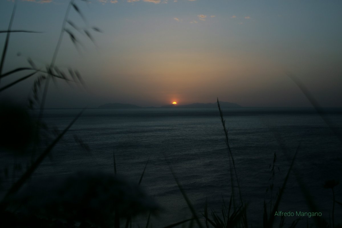 alfredalgralu1 tweet picture