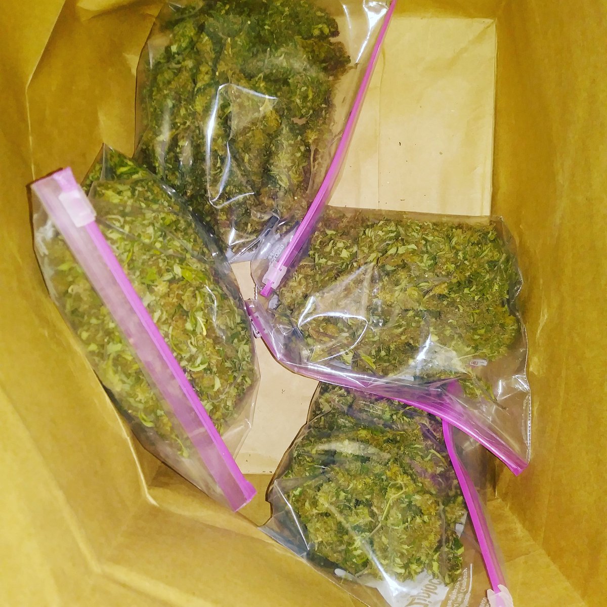 overdawater's tweet photo. https://t.co/B49h89rVET

We got what you need. 
6 stains
$60 - 28grams
$30 - 14grams
$25 - 7grams

Get it before I smoke it all. This shit fire 🔥 https://t.co/Zh0hYfMY27