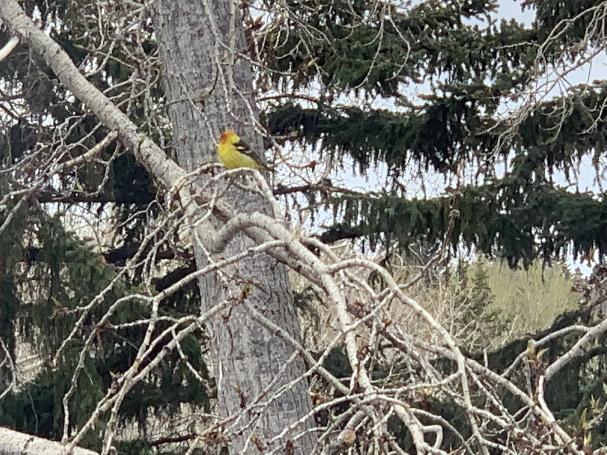 Raj Bhardwaj tweet media