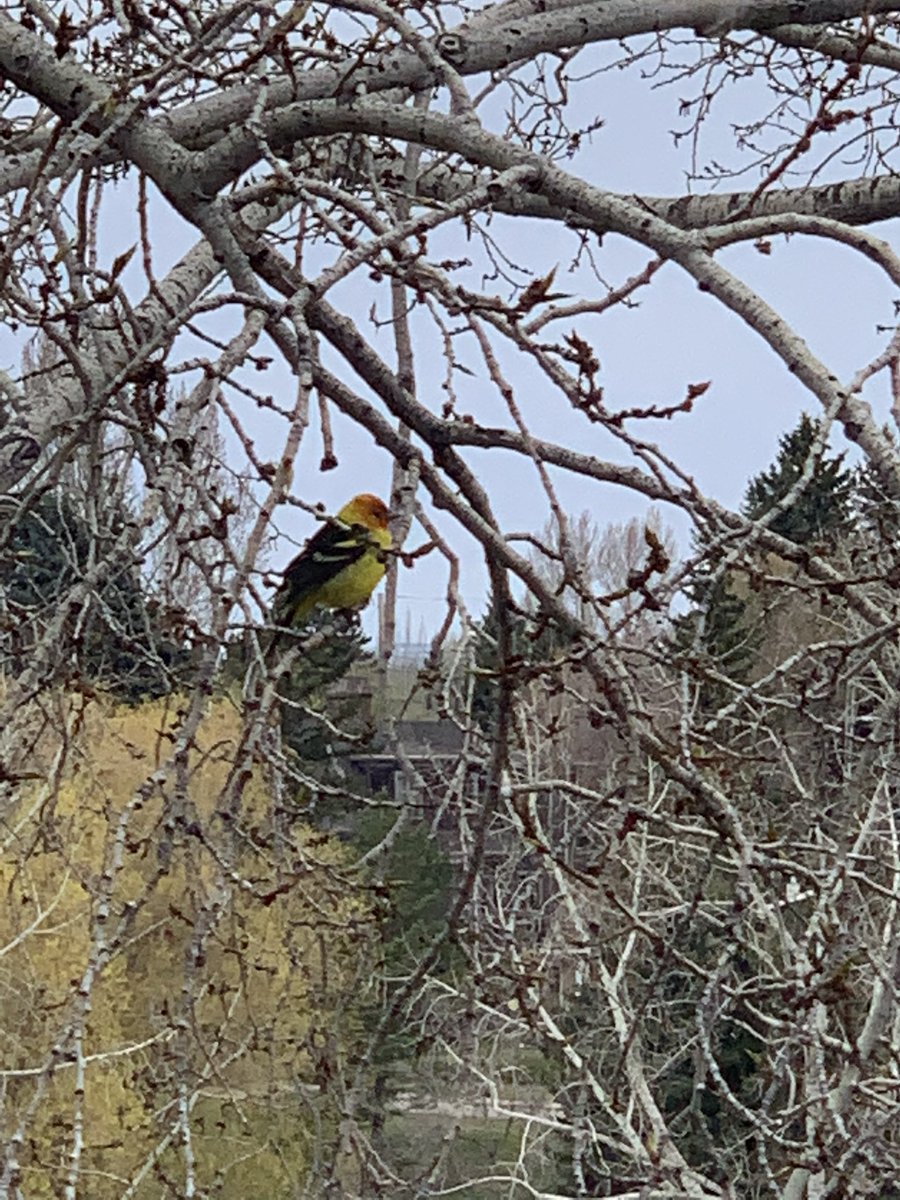 Raj Bhardwaj tweet media