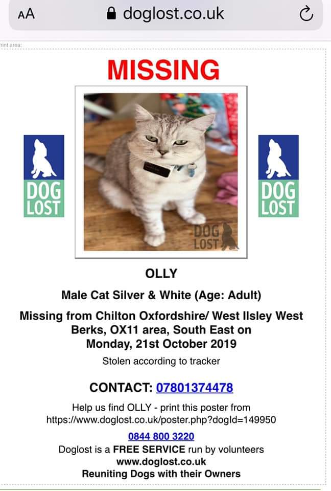 AlanDaffern's tweet photo. #Stolen Olly male silver and white cat #Lost 21st of October 2019, From #Chilton #Oxfordshire/#WestIlsley #WestBerks #OX11 area
https://t.co/Sb71W3uKsc
#missingcat #lostcat #scanme https://t.co/Nl6pKhsvzG