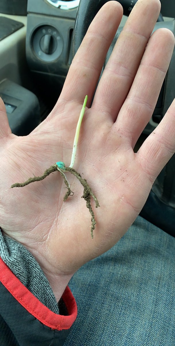 Austyn Webb tweet media