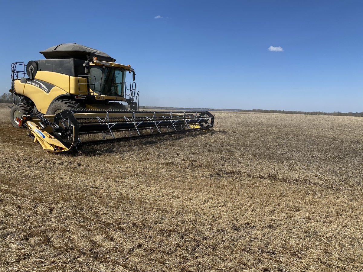 My FIL used to say that when the leaves start coming out, it’s time to seed wheat. Well...#NewHolland #SpringThrash #wheat #farming #harvest