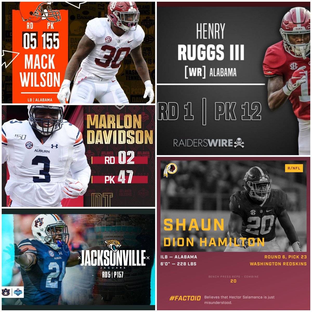 Madhouse Training tweet media