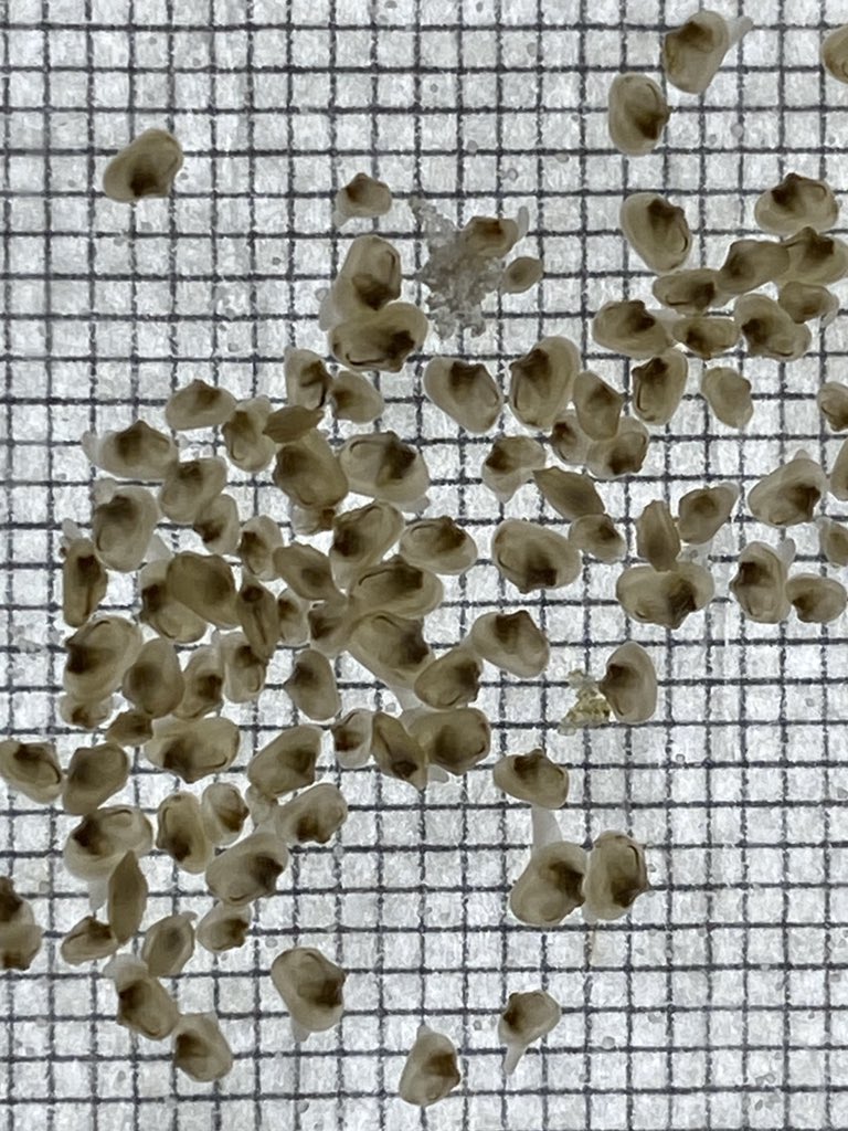 James Kunz tweet media