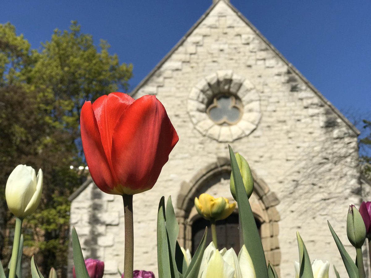 MarquetteU's tweet photo. Today, flowers are still in bloom at St. Joan of Arc Chapel https://t.co/TkFzfDQEOb